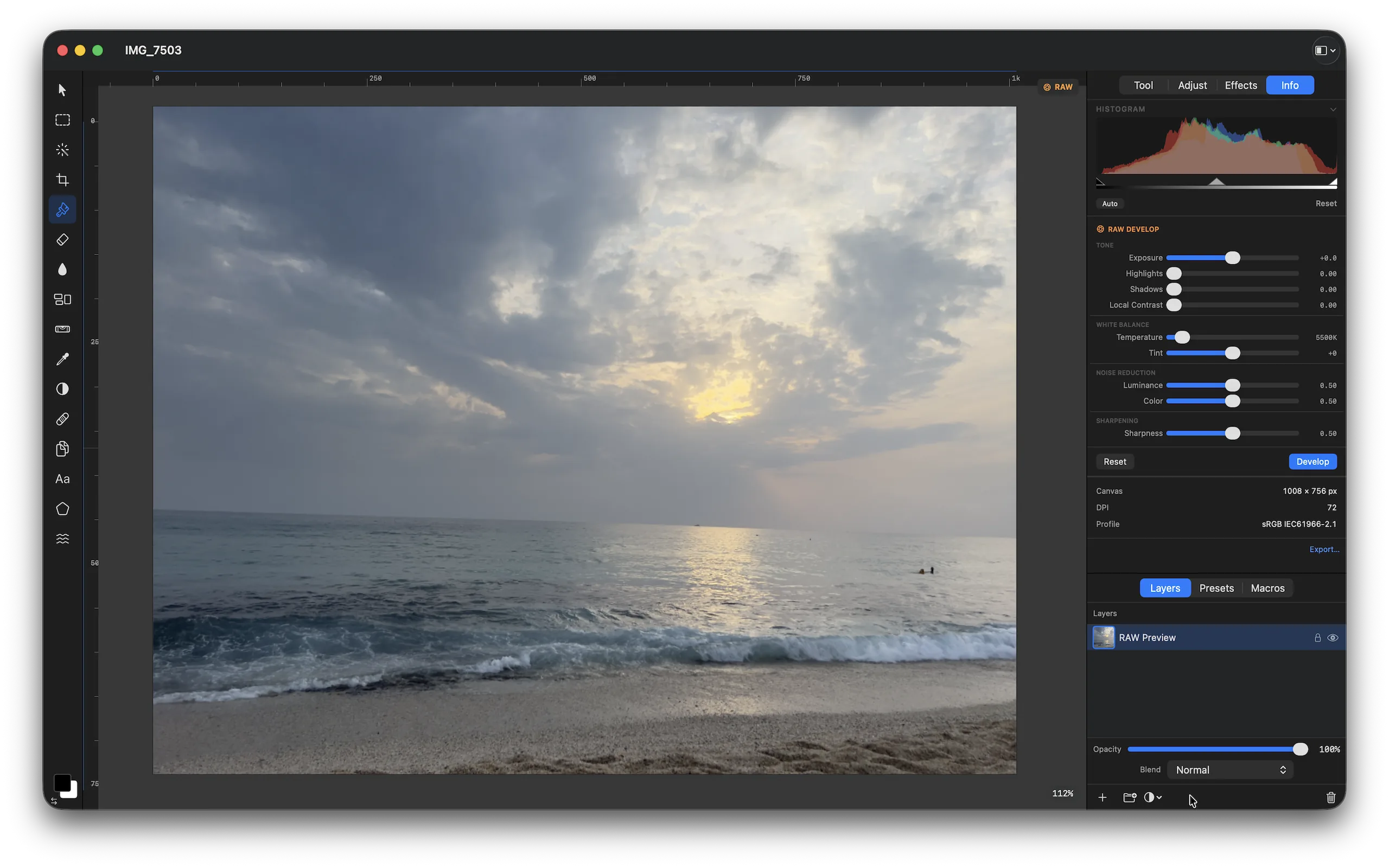 Pictureforge RAW develop and adjustment layers