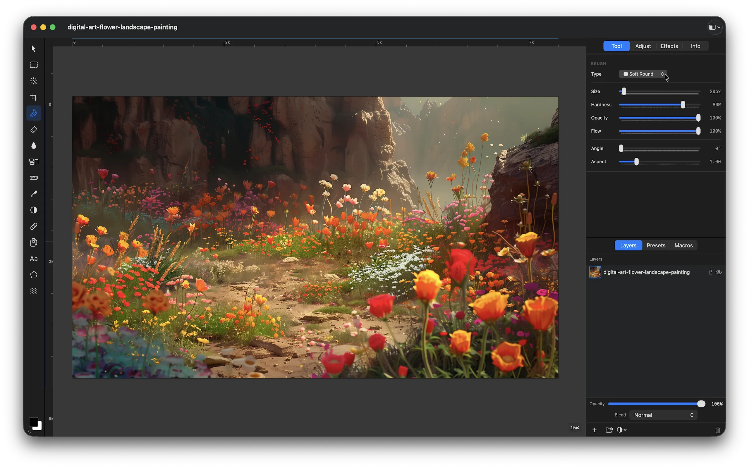 Pictureforge export options including PSD